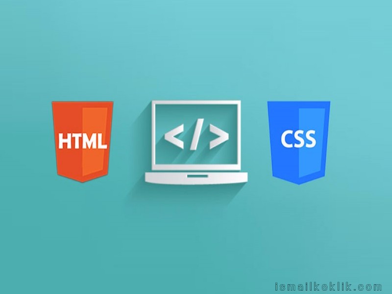 Web Tasarımının Temelleri (HTML & CSS)