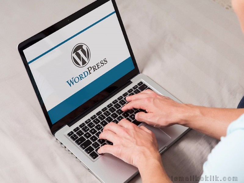 WordPress Kullanarak Web Sitesi Hazırlama