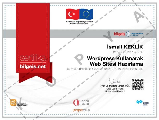 WordPress Kullanarak Web Sitesi Hazırlama