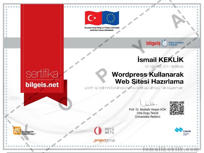 WordPress Kullanarak Web Sitesi Hazırlama