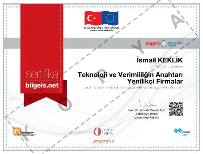 Teknoloji ve Verimliliğin Anahtarı: Yenilikçi Firmalar