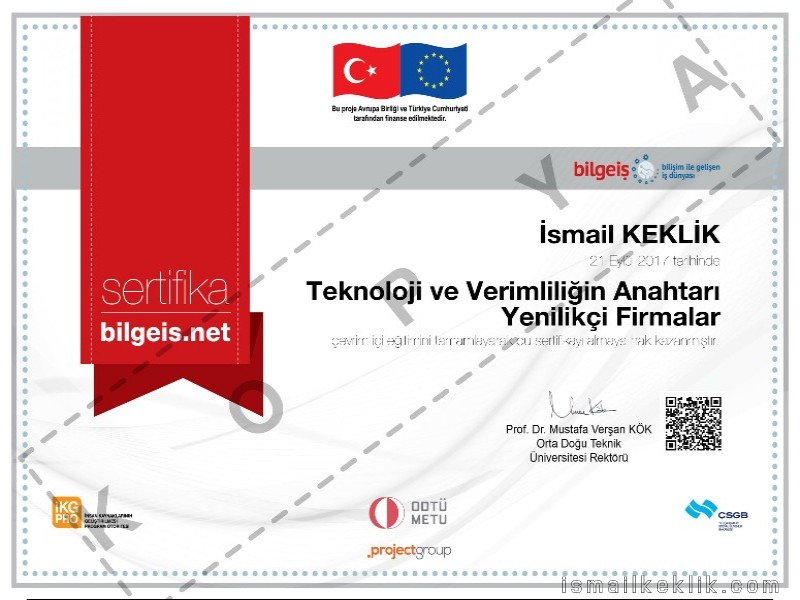 Teknoloji ve Verimliliğin Anahtarı: Yenilikçi Firmalar