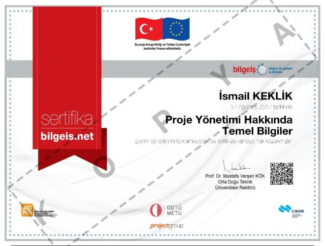 Proje Yönetimi Hakkında Temel Bilgiler