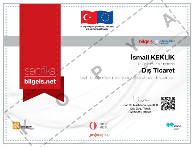 Dış Ticaret