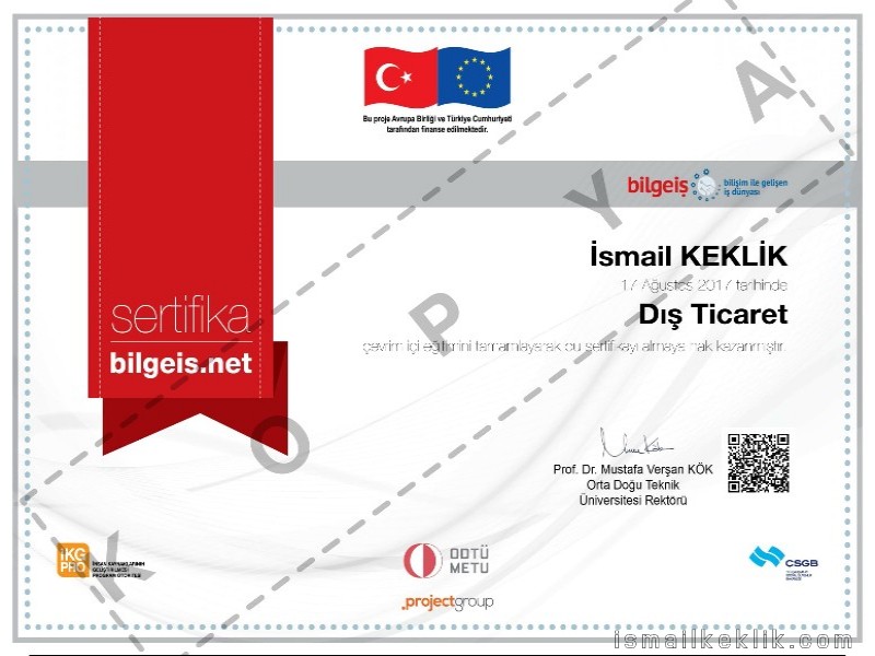 Dış Ticaret