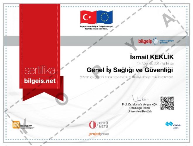 Genel İş Sağlığı ve Güvenliği