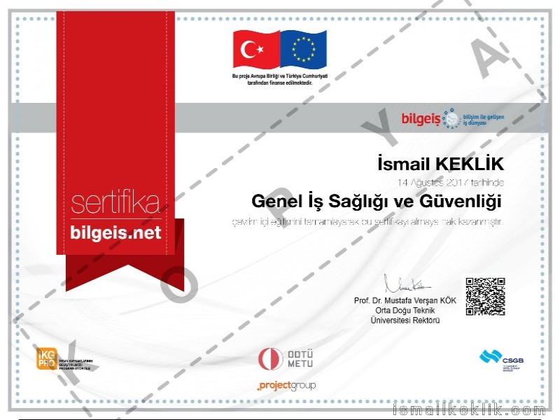 Genel İş Sağlığı ve Güvenliği